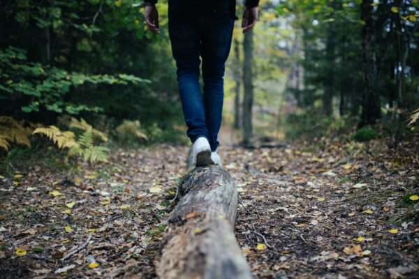 The Best Health and Wellness Tips for College Students -2023 The Best Health and Wellness Tips